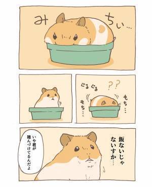 妖精のようだった子ハムスター　成長ぶりがすさまじい！