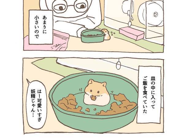 妖精のようだった子ハムスター　成長ぶりがすさまじい！