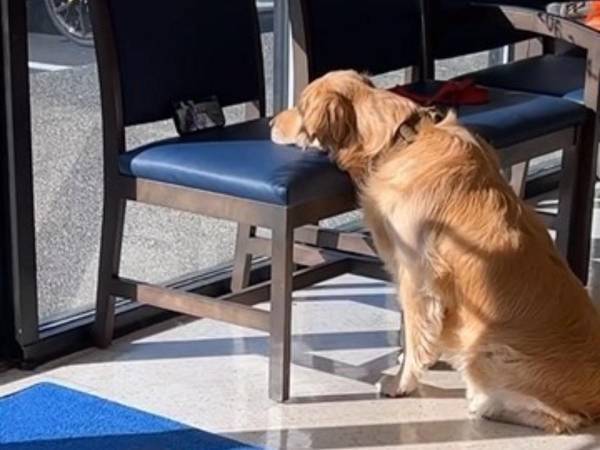 「こんな犬は見たことない！」　動物病院のスタッフが驚いたワケは？