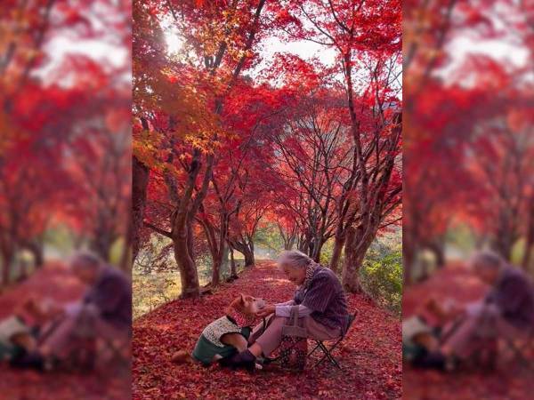 「何回も見てしまう」　祖母と愛犬の動画に絶賛の声