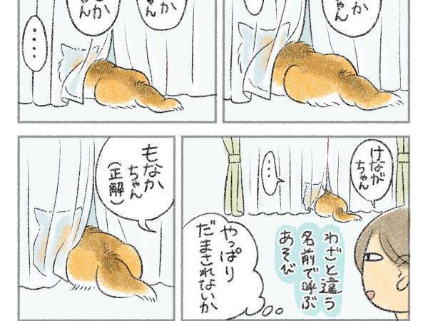 愛犬にわざと違う名前で呼びかけると…　結末が『犬あるある』すぎた