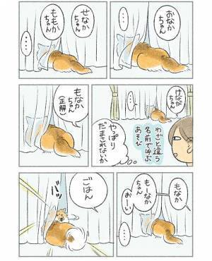 愛犬にわざと違う名前で呼びかけると…　結末が『犬あるある』すぎた