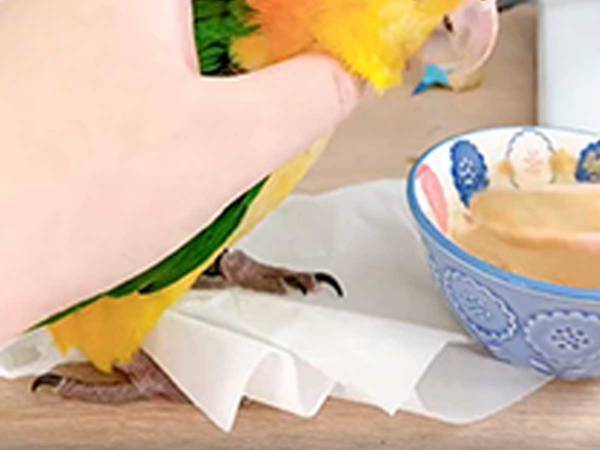 「ご飯の食べ方、すげぇ！」　動画に７万人以上が『いいね』