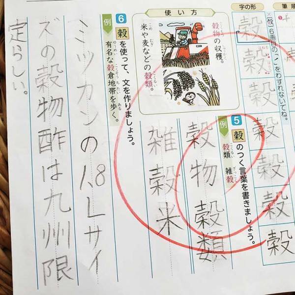 「天才だ」「笑いが止まらない」トリッキーにもほどがある息子の作文が最高