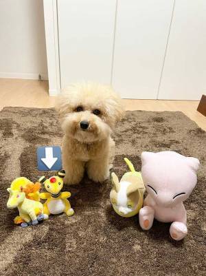 視線を感じて、ふと見ると…　覗いていた正体に「笑った」「かわいすぎる」