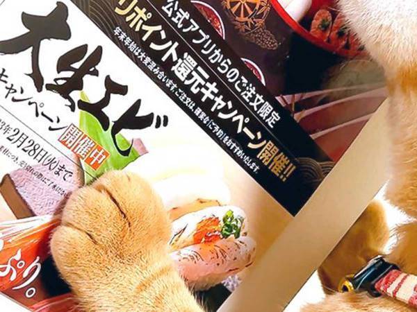 「ニヤニヤしちゃう」「晩御飯が決まりましたね」　飼い主を驚かせた、猫の行動とは？