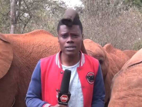 テレビのニュース番組でリポーターが吹き出したワケは？　「よくこらえたよ」