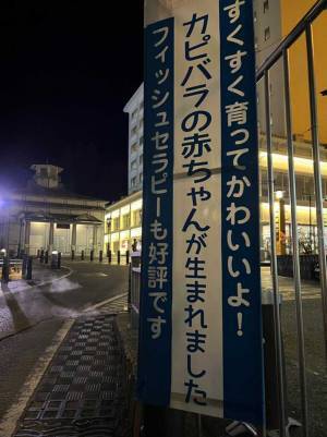 草津温泉付近で目にした看板　書かれていたことに「なんて平和な世界…」