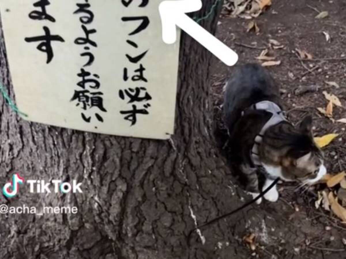 フンは必ず 木にくくられた 注意書き が二度見必至 22年11月25日 ウーマンエキサイト 1 2