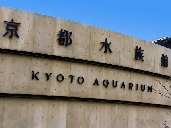 水族館で展示中のクリスマスツリーに「これが令和の芸術か…」「笑った！」