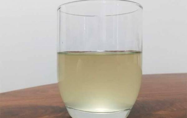 気になる新作を飲んでレポート　『伊右衛門 京都レモネード』は独自路線を走っていた