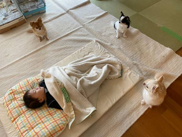 「寝ちゃったね…」　３匹の犬が取り囲んでいたのは？