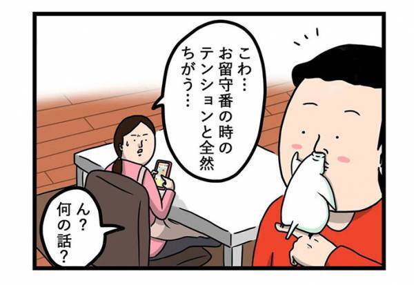 「やば…」　母親から送られてきたインコの写真に、思わず吹き出したワケとは？