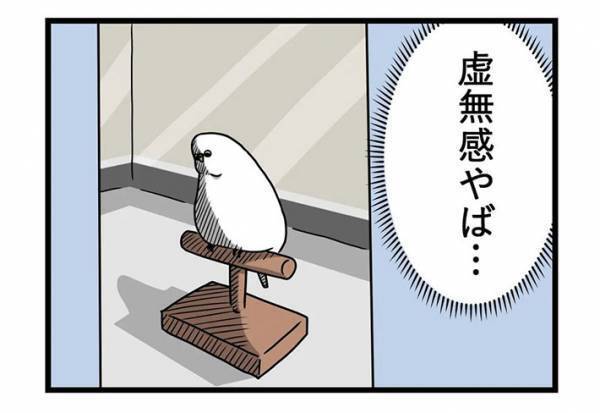 「やば…」　母親から送られてきたインコの写真に、思わず吹き出したワケとは？