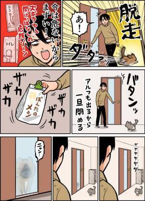 「こんな効果があったなんて」　猫が一目散に『拒否』した物体