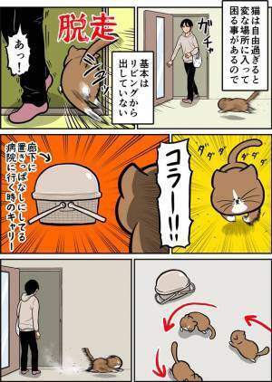 「こんな効果があったなんて」　猫が一目散に『拒否』した物体