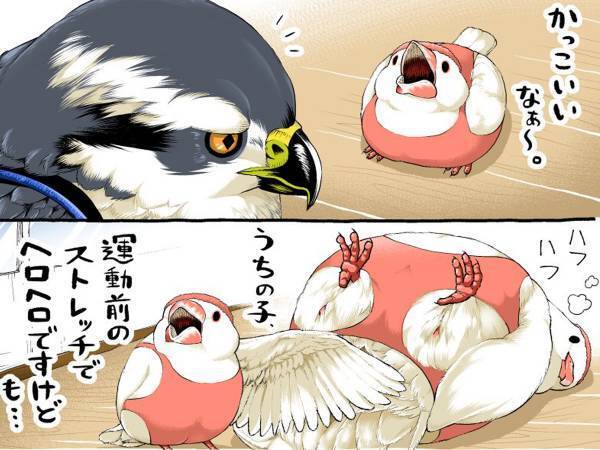 文鳥「鍛えたらタカのようになれますか？」　続く展開に「吹いた」「イケメン…！」