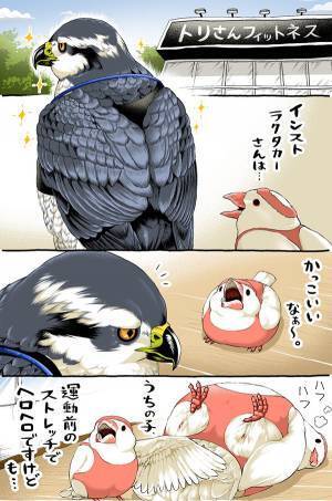 文鳥「鍛えたらタカのようになれますか？」　続く展開に「吹いた」「イケメン…！」