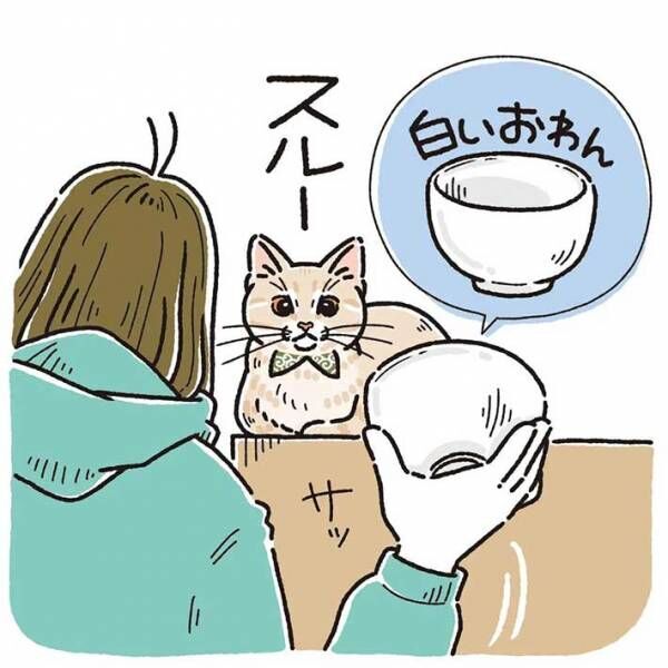 「すごい」「最高」　普段ご飯を与えている皿を、猫に見せると？