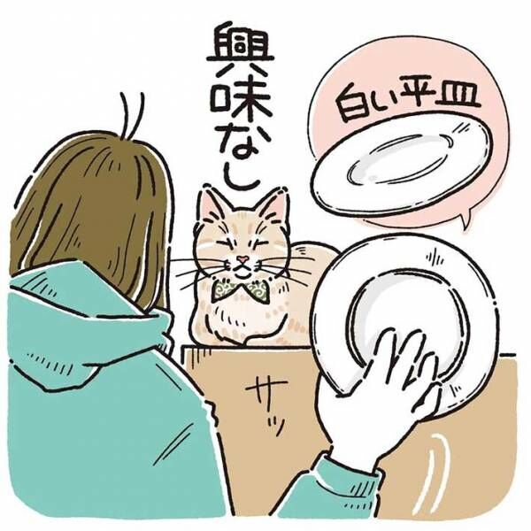 「すごい」「最高」　普段ご飯を与えている皿を、猫に見せると？