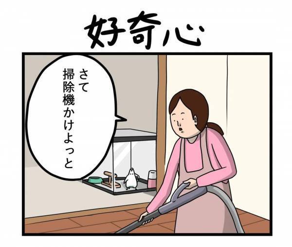 「なぜ見に来た」　母親がツッコミを入れた理由に笑う！