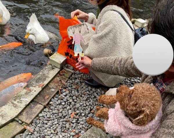 「一緒に連れて行ったよ！」　娘不在で外出した家族に「じわじわくる！」