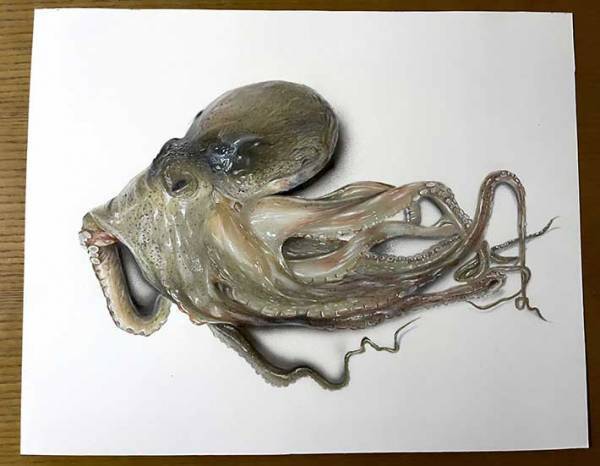 紙の上に置かれたタコ？　じっくり見ると…　「本当にすごい」