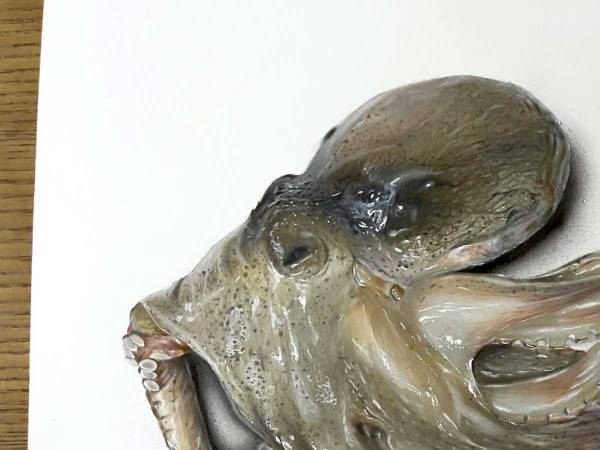紙の上に置かれたタコ？　じっくり見ると…　「本当にすごい」