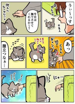 飼い主の『特権』とは？　家に遊びに来た友人に対し…