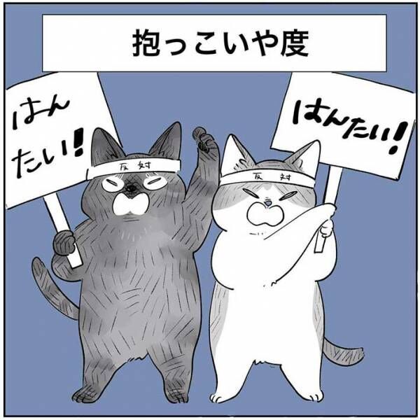 猫が嫌がることはやめよう 飼い主がそう思った理由が あるあるだった 22年12月4日 ウーマンエキサイト 1 2