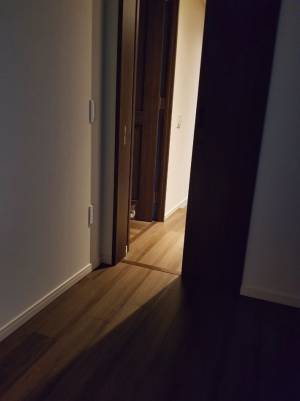 帰宅後、猫の姿に「ごめんて…」　飼い主が肝を冷やした、その姿