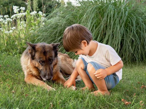 犬に襲われそうになった男児を守ったのは？　動画に「２０回も見た」「涙が止まらない」