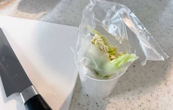 緩衝材は…捨てないで！　エコに再利用するアイディアがこちら