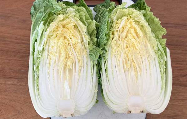 もうイライラしない！　白菜がバラバラにならないカット方法