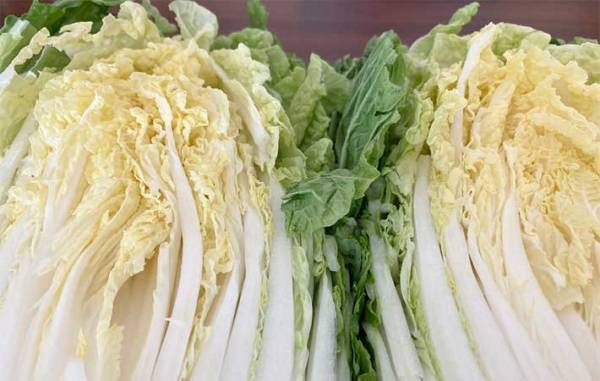 もうイライラしない！　白菜がバラバラにならないカット方法