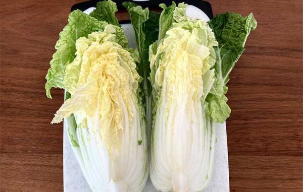 もうイライラしない！　白菜がバラバラにならないカット方法