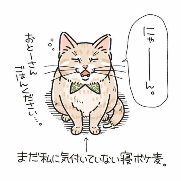 猫は飼い主を覚えているのか？　約１か月ぶりに再会すると…