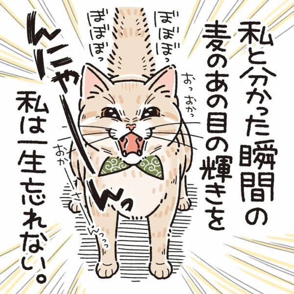猫は飼い主を覚えているのか？　約１か月ぶりに再会すると…