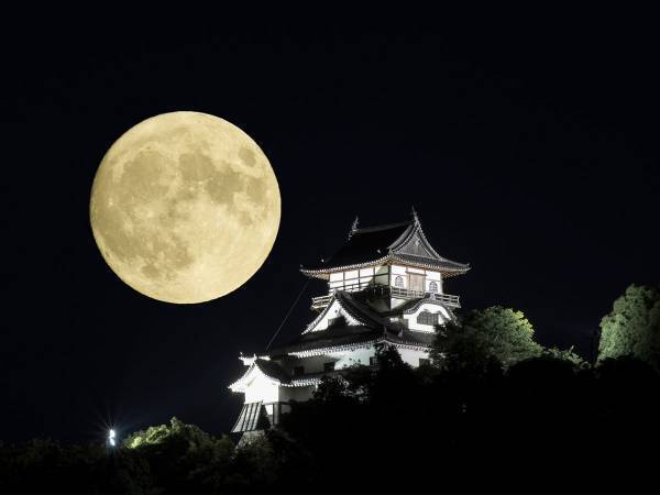 ２０２２年の『コールドムーン』は見逃せない！　火星の大接近に「絶対見る」「素敵！」