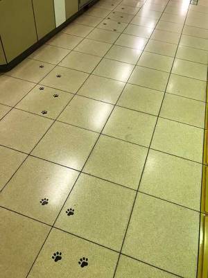 駅の壁　幾何学模様かと思いきや、まさかこれは…！