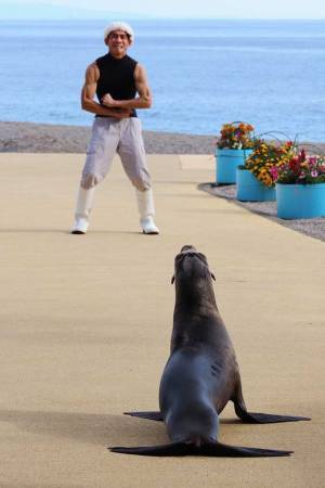 「理由もなく筋肉を見せられるアシカ」　水族館が公開した１枚に「今日一番笑った」