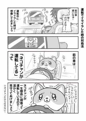 運転中のイライラを鎮める『妄想』に、クスッ　「秒で優しくなれる」「効果抜群」