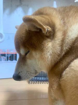 ストーブの前から『異音』　一体、なんの音かと思ったら…？