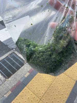 職質を受けた飲食店の店員　手に持っていたものに「和んだ」「平和だなぁ」