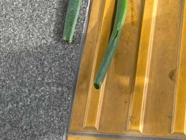 「電車で笑いそうになった…危ない」　2歳の息子が「飼いたい！」といい始めたのは…？