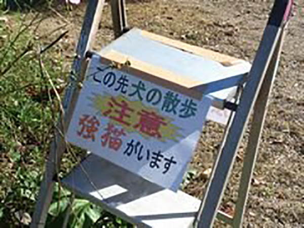 この先に、一体どんな猫が…！？　強い注意書きに「爆笑した」「気になるわ！」