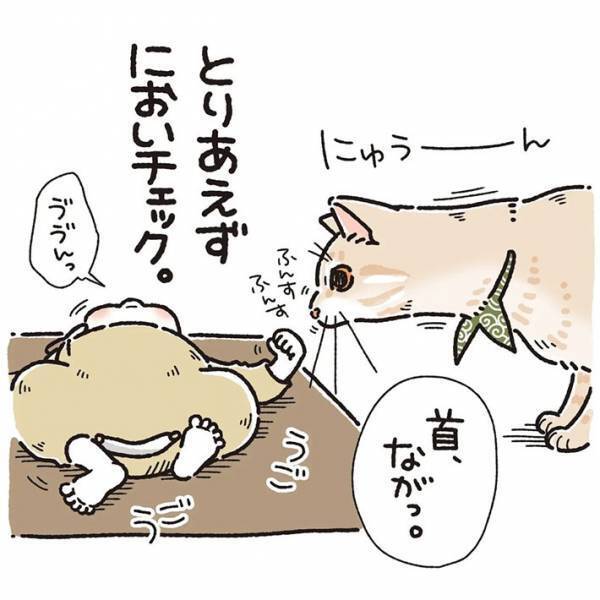 赤ちゃんと初対面した猫　斜め上の行動に、吹き出す　「ただただ愛おしい」