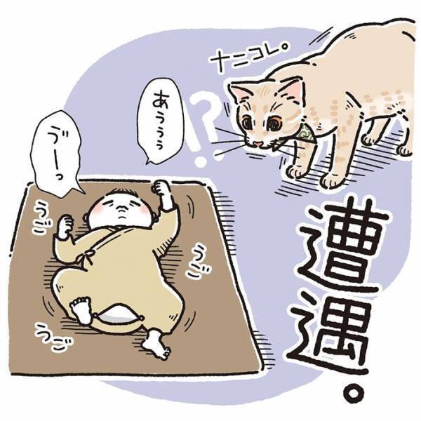 赤ちゃんと初対面した猫　斜め上の行動に、吹き出す　「ただただ愛おしい」