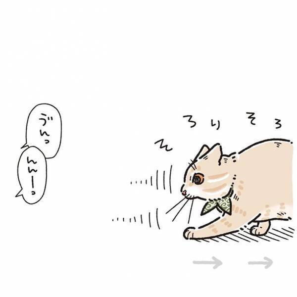 赤ちゃんと初対面した猫　斜め上の行動に、吹き出す　「ただただ愛おしい」