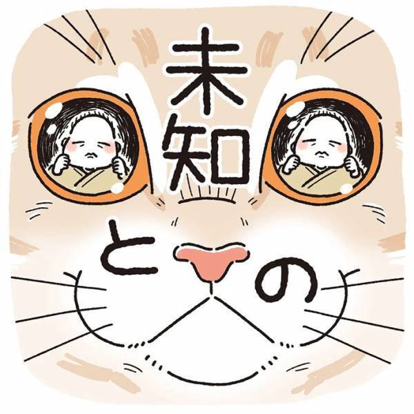 赤ちゃんと初対面した猫　斜め上の行動に、吹き出す　「ただただ愛おしい」